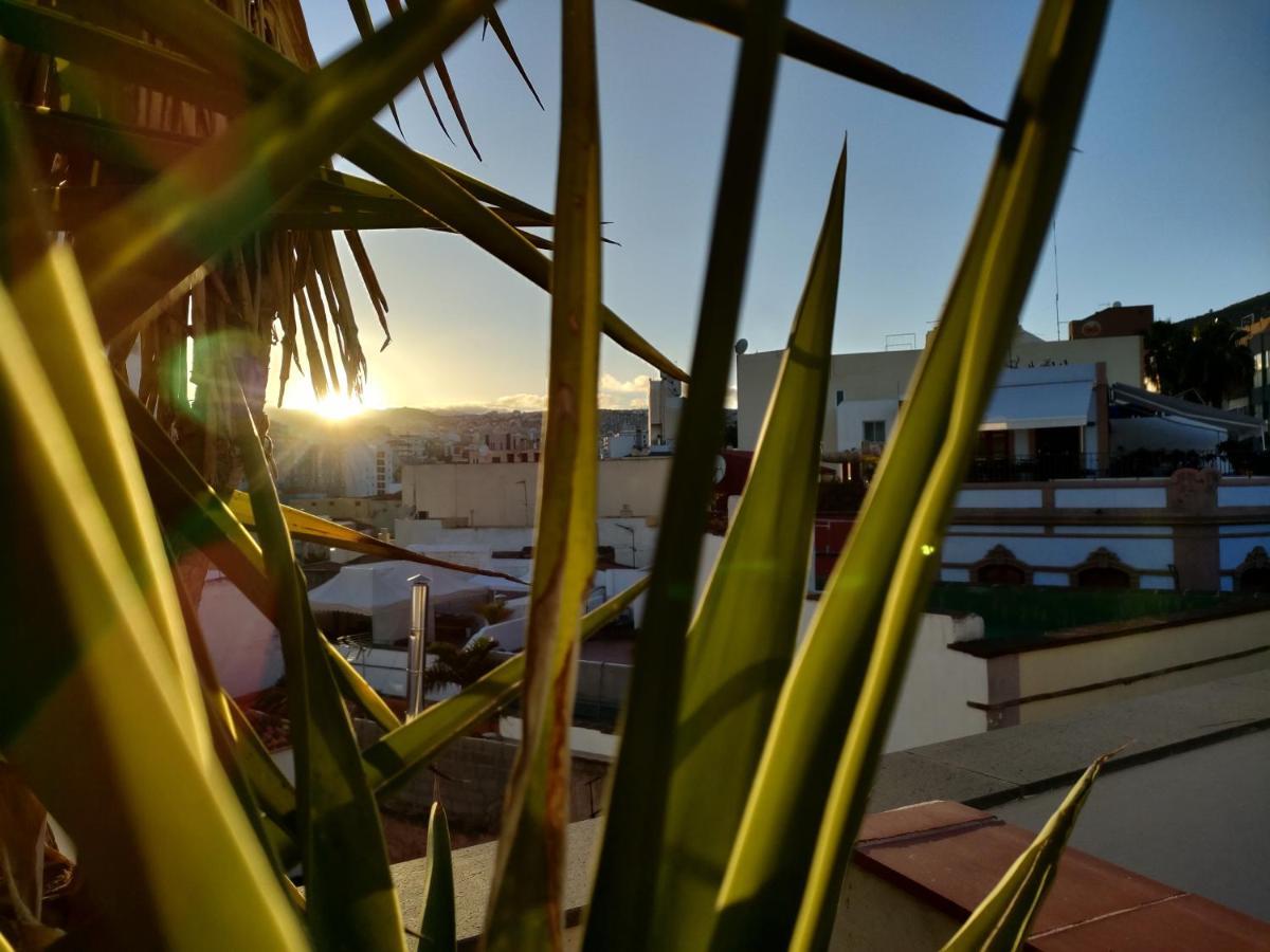 Terraza del Atlántico, un oasis en la ciudad Apartamento Santa Cruz de Tenerife Exterior foto